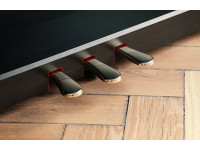 Kawai CN-301 R Kawai CN-301 R